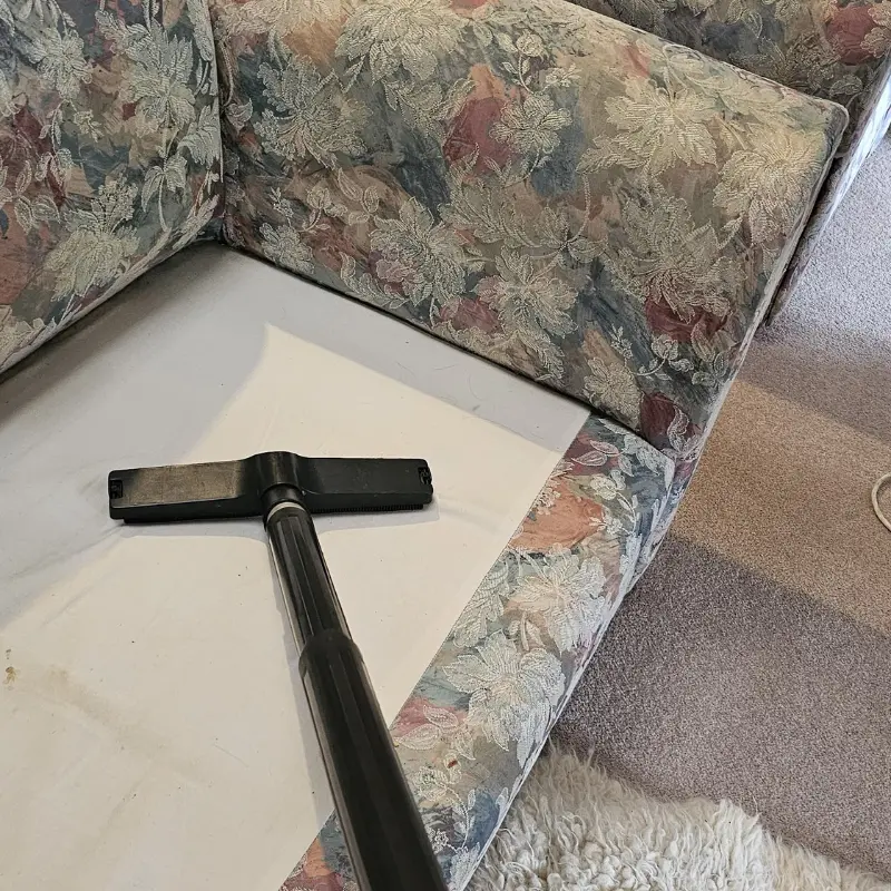 Clean and stain free upholstered furniture restored with professional cleaning.